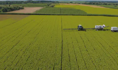 Early Disease Detection: Revolutionizing Crop Health with AI and Precision Agriculture