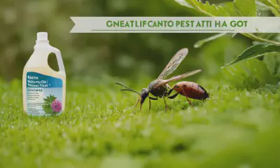 Natural Pest Control: Safe, Green, and Effective