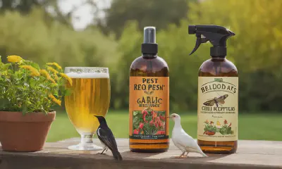 DIY Pest Control: Natural, Effective, and Pet-Friendly