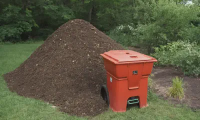 Natural Pest Control: Safe and Sustainable Solutions