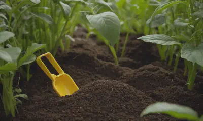 Neem Oil: Natural Pest Control for Plants