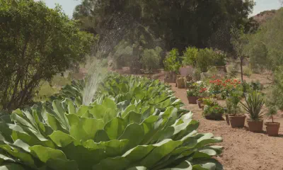 Natural Pest Control: Empowering Nature's Warriors