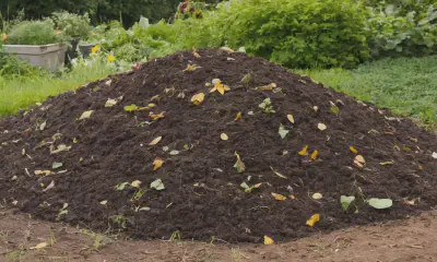 Compost Tea: The Soil-Enriching Liquid Gold
