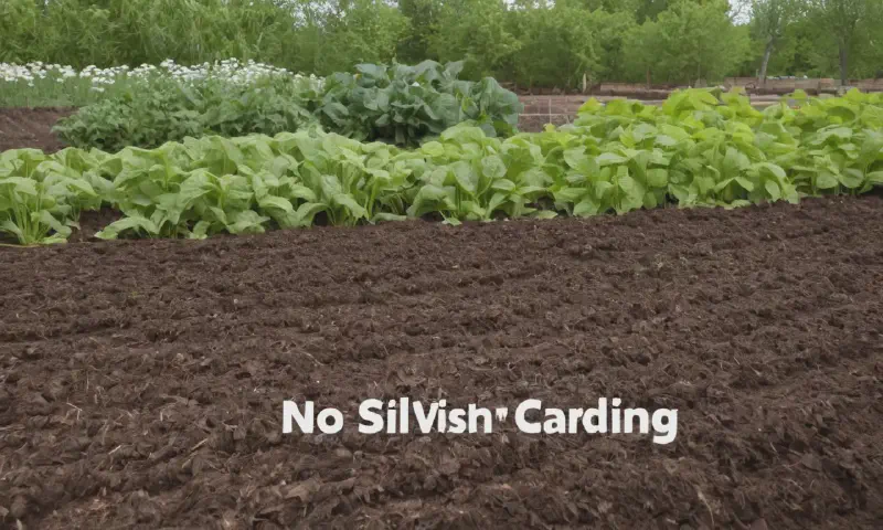 Natural Fertilizers: Boost Your Soil's Health and Plant Growth