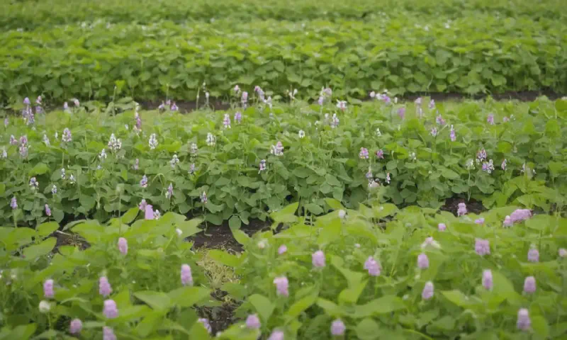 Eco-Friendly Landscaping: Sustainable Gardening for a Greener Future