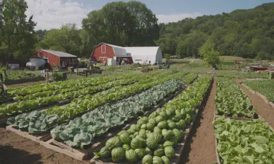 Unlock Sustainable Irrigation: Conserve, Adapt, Innovate