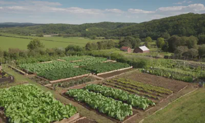 Feng Shui Garden Design: Creating Harmony and Energy