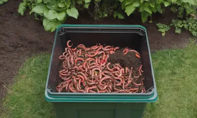 Hardscaping for Visual Interest