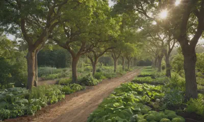 Drought-Tolerant Native Plants: A Guide to Xeriscaping