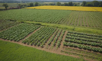 Native Plant Gardens: A Guide to Design, Care, and Landscaping