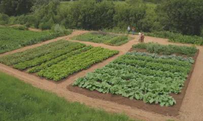 Native Plants for Thriving Urban Gardens