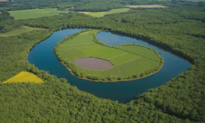 Water-Wise Landscaping: A Guide to Conserving Water in Your Garden