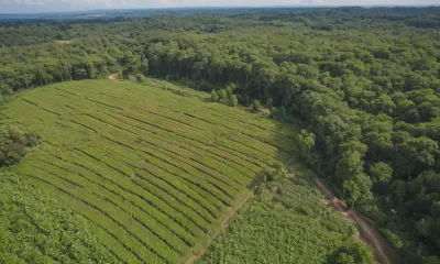 Water-Efficient Landscaping: Secrets to a Thriving, Sustainable Garden