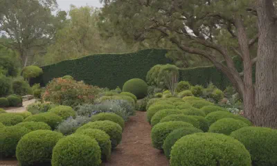 The Ultimate Guide to Pruning for a Healthy Landscape