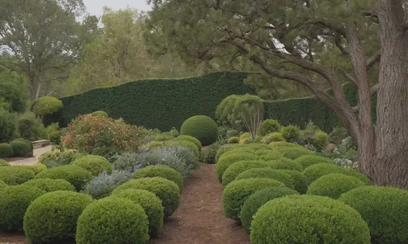 The Ultimate Guide to Pruning for a Healthy Landscape