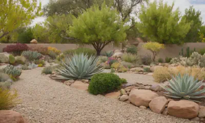 Drought-Tolerant Landscapes: A Guide to Water-Wise Gardening
