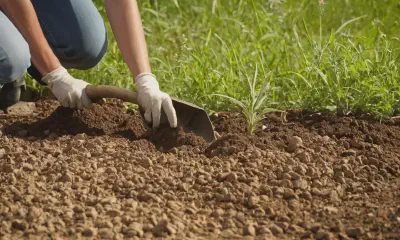 Soil Preparation for Drought-Tolerant Landscapes