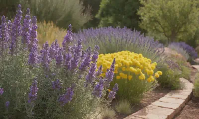 Drought-Tolerant Flowers: Your Guide to Water-Saving Beauty