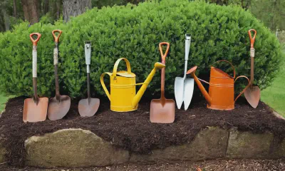 Continuous Blooms: Year-Round Beauty