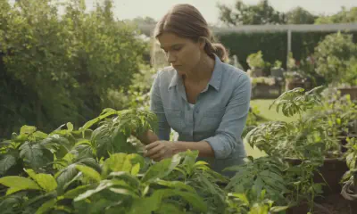 Essential Flowering Plant Care Guide