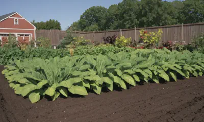 Seasonal Flowering Beauties: Blooms for Every Season