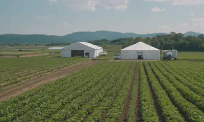 Expert Pruning Techniques for Flowering Plants