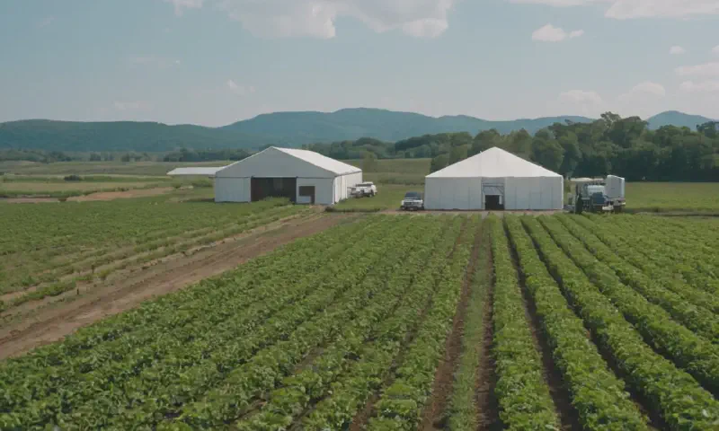 Expert Pruning Techniques for Flowering Plants