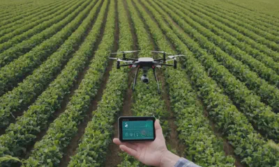 Multipurpose Gardening Tools: Your Ultimate Gardening Companion