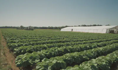 Plant Quarantine: Protecting Agriculture from Pests and Diseases