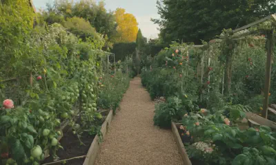 Disease-Resistant Plants: Your Path to a Flourishing Garden